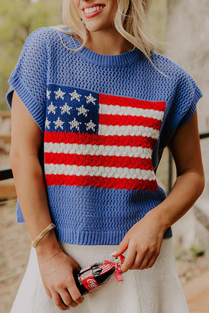 US Flag Graphic Short Sleeve Sweater Top