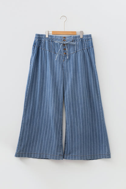 Sky Blue Stripe Plus Size Buttoned Loose Wide Leg Denim Pants