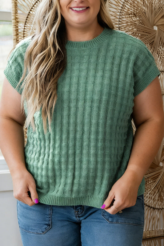 Mist Green Plus Size Solid Color Textured Knit Short Sleeve Sweater