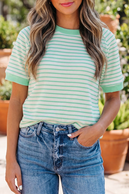 Stripe Colorblock Trim Round Neck Short Sleeve Tee