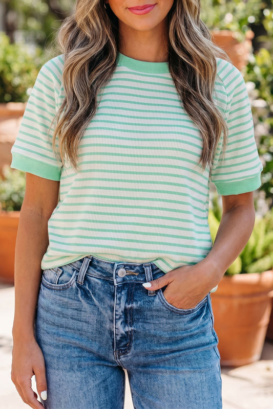 Stripe Colorblock Trim Round Neck Short Sleeve Tee