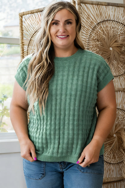Mist Green Plus Size Solid Color Textured Knit Short Sleeve Sweater
