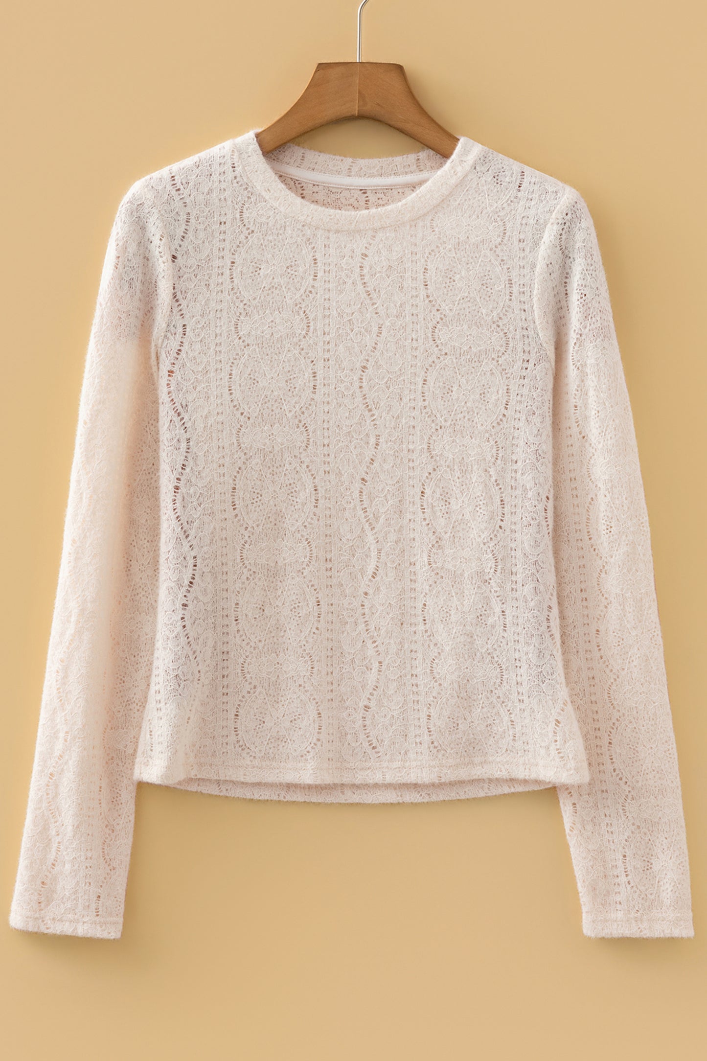 Jet Stream Semi Sheer Lace Long Sleeve Cropped Top