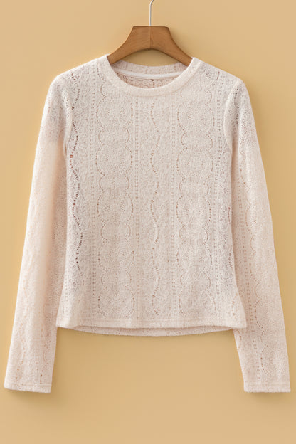 Jet Stream Semi Sheer Lace Long Sleeve Cropped Top
