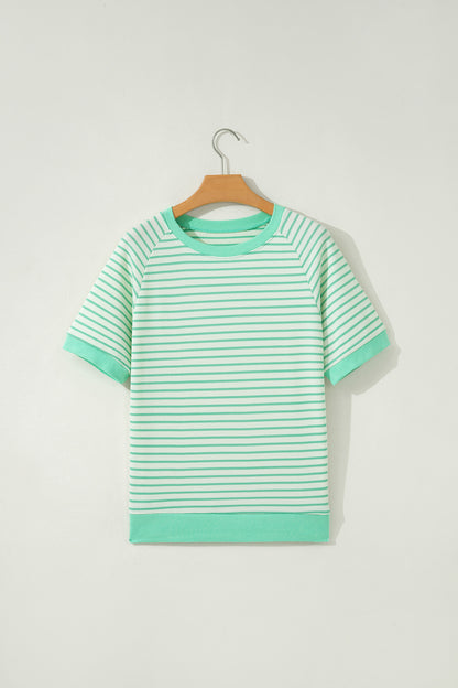 Stripe Colorblock Trim Round Neck Short Sleeve Tee