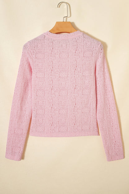 Jet Stream Semi Sheer Lace Long Sleeve Cropped Top