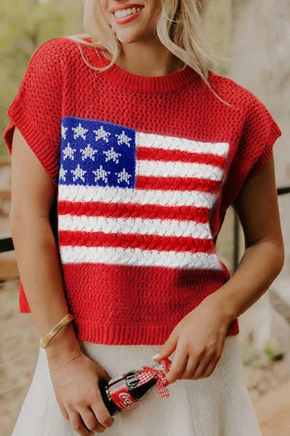 US Flag Graphic Short Sleeve Sweater Top